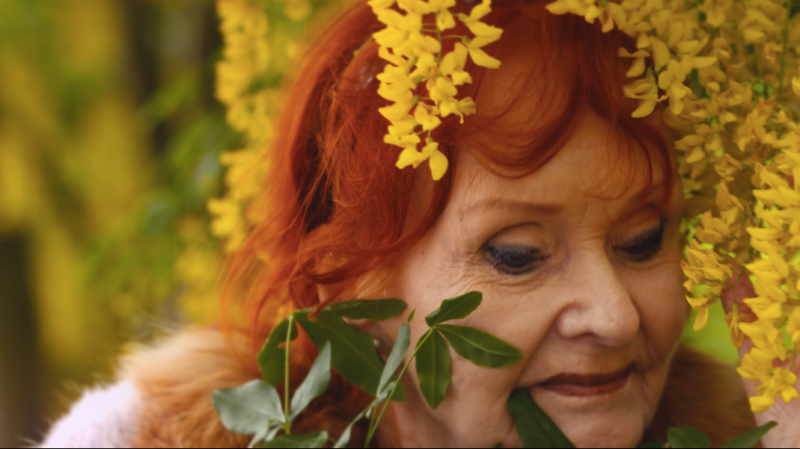 Krafftówna w krainie czarów