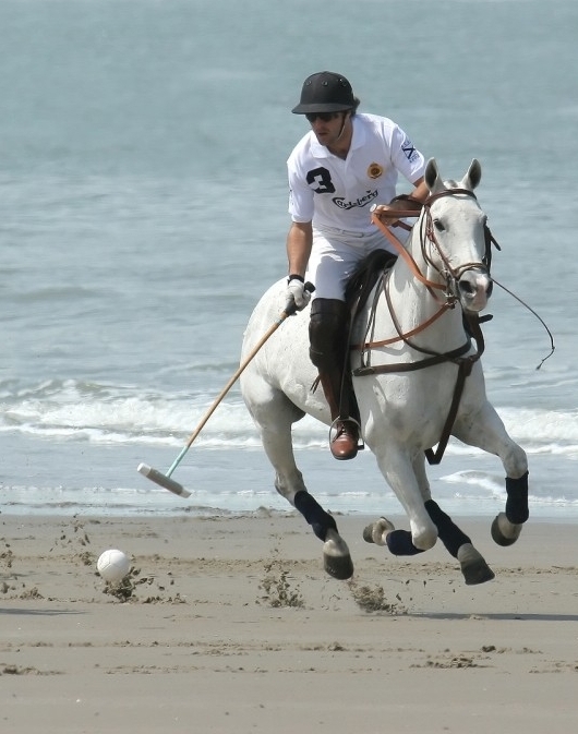 GDYNIA FALLS IN LOVE WITH POLO!