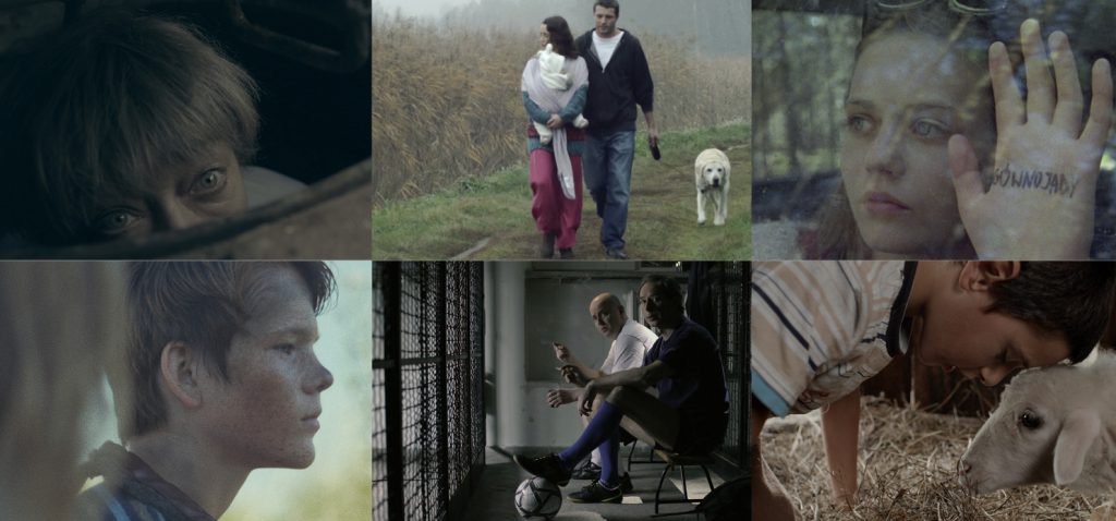 The Young Cinema Competition – selection results