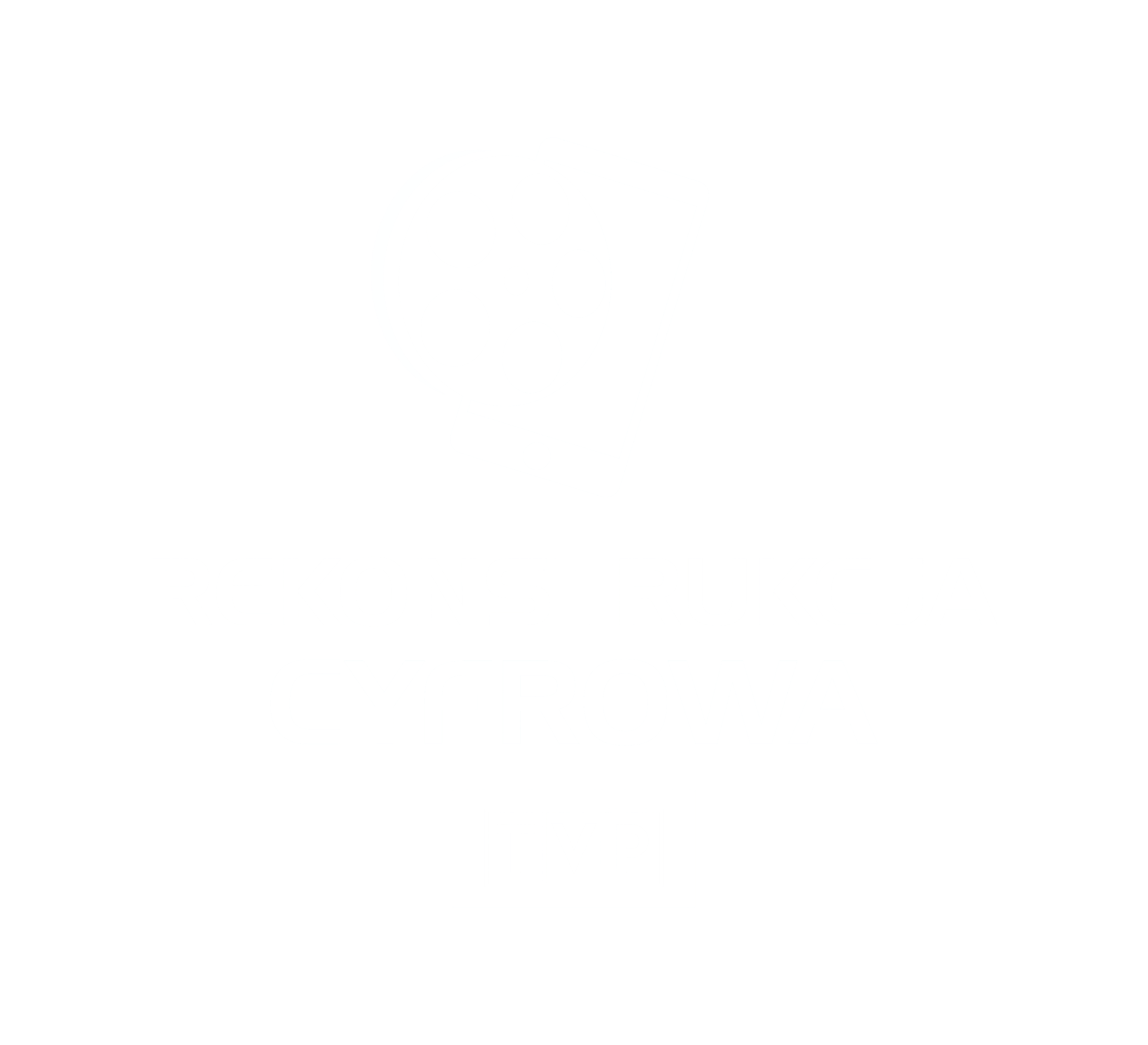 TVP Rekonstrukcja_ENG