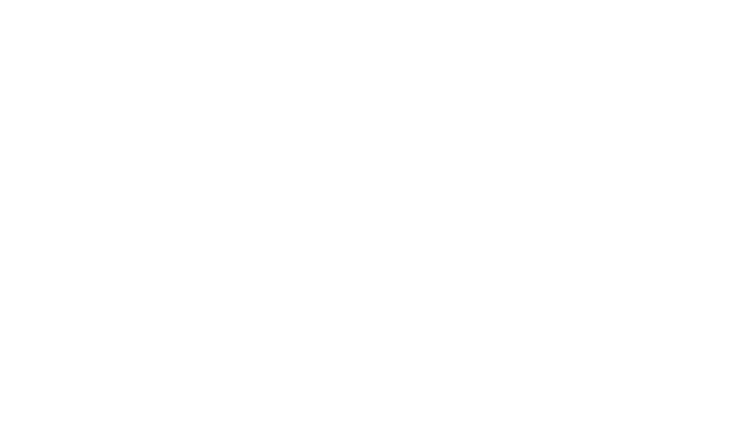 Plus